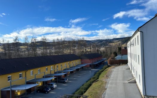 Einladende und Grosszügig aufgeteilte 3-4 Zimmer Wohnung in ruhiger Grünlage von Maria Lankowitz!