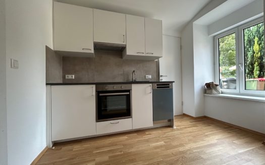 Graz:  Erstbezug nach Sanierung! Grosszügig angelegte 2-Zimmer Altbauwohnung im Bezirk Lend zu vermieten!