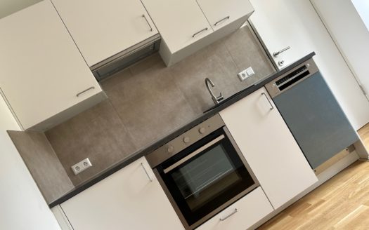 Graz:  Erstbezug nach Sanierung! Grosszügig angelegte 2-Zimmer Altbauwohnung im Bezirk Lend zu vermieten!