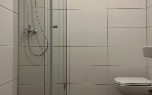 Graz:  Erstbezug nach Sanierung! Grosszügig angelegte 2-Zimmer Altbauwohnung im Bezirk Lend zu vermieten!