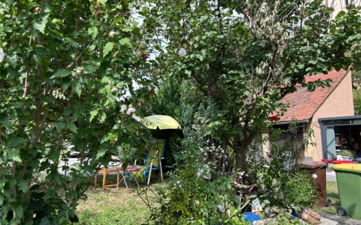 Graz:  Erstbezug nach Sanierung! Grosszügig angelegte 2-Zimmer Altbauwohnung im Bezirk Lend zu vermieten!