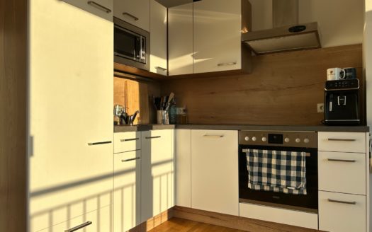 Graz:  Aussergewöhnliche 2-Zimmer Wohnung mit Balkon in 8010 Graz Jakomini zu vermieten!