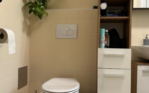 Graz: Jung-modern-aussergewöhnlich! Architekten Single Wohnung in ruhiger Innenhoflage Nähe Südtirolerplatz!