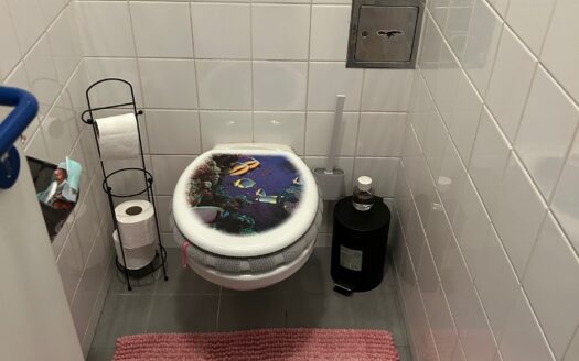 Graz: Wohlfühlwohnung! Charmante 2-Zimmer Mietwohnung mit Balkon in zentraler Grazer Stadtlage zu vermieten!