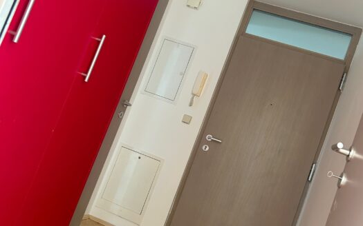 Graz: Altbauzauber trifft Moderne! 2-Zimmer Wohnung mit uneinsehbarer Loggia im Bezirk „Lend“ zu vermieten !