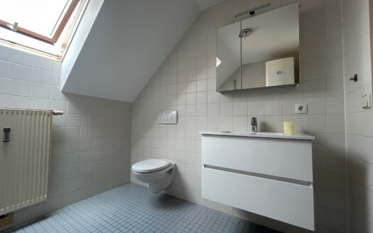 Graz: Altbauzauber trifft Moderne! 2-Zimmer Wohnung mit uneinsehbarer Loggia im Bezirk „Lend“ zu vermieten !