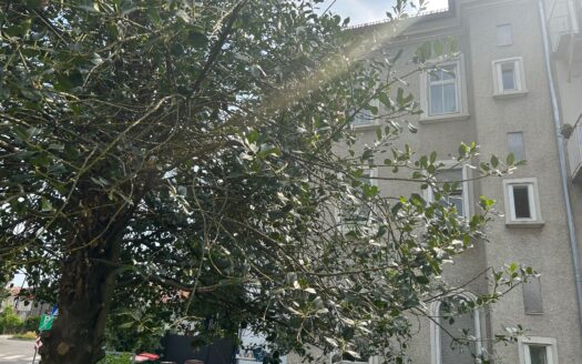 Graz: Altbauzauber trifft Moderne! 2-Zimmer Wohnung mit uneinsehbarer Loggia im Bezirk „Lend“ zu vermieten !