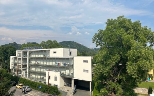 Graz: Altbauzauber trifft Moderne! 2-Zimmer Wohnung mit uneinsehbarer Loggia im Bezirk „Lend“ zu vermieten !