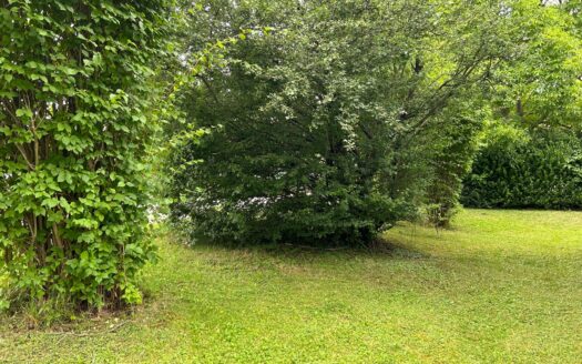 Graz: Perfekte Starterwohnung! Jung modern einladend! 2-Zimmer Erdgeschosswohnung beliebten Grazer Wohnbezirk „Andritz“ zu verkaufen!