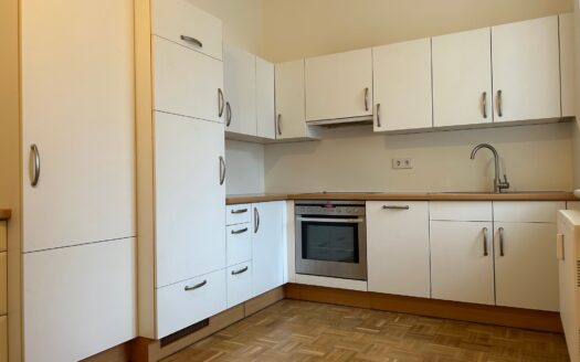 Graz: Erstbezug nach Sanierung! Romantische 3-Zimmer Wohlfühlwohnung in ruhiger Grünlage von Eggenberg!