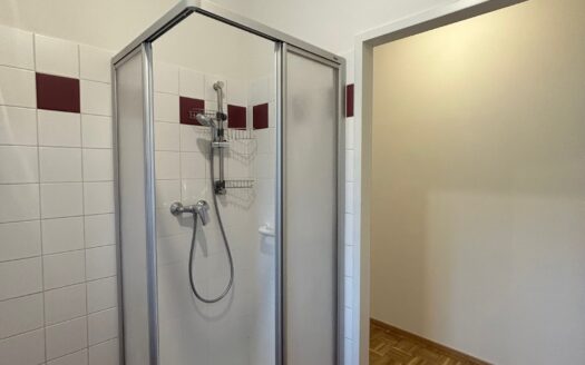 Graz: Erstbezug nach Sanierung! Romantische 3-Zimmer Wohlfühlwohnung in ruhiger Grünlage von Eggenberg!