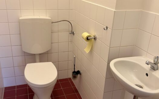 Graz: Erstbezug nach Sanierung! Romantische 3-Zimmer Wohlfühlwohnung in ruhiger Grünlage von Eggenberg!