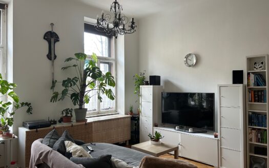Graz: Altbauzauber! 3-Zimmer Altbauwohnung (WG-tauglich) mit Balkon und traumhaften Gartenblick im Grazer Wohnbezirk „Jakomini“ zu vermieten!