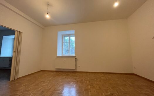 Graz: Erstbezug nach Sanierung! Romantische 3-Zimmer Wohlfühlwohnung in ruhiger Grünlage von Eggenberg!