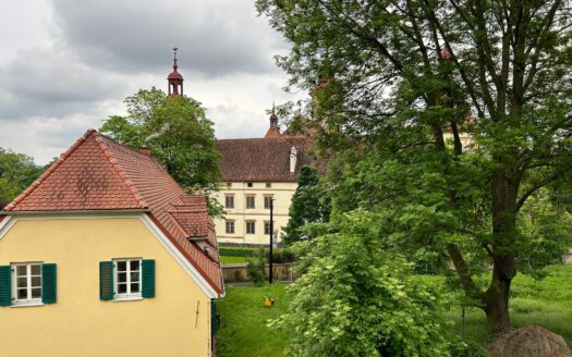 Graz: Erstbezug nach Sanierung! Romantische 3-Zimmer Wohlfühlwohnung in ruhiger Grünlage von Eggenberg!