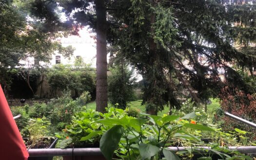 Graz: Altbauzauber! 3-Zimmer Altbauwohnung (WG-tauglich) mit Balkon und traumhaften Gartenblick im Grazer Wohnbezirk „Jakomini“ zu vermieten!