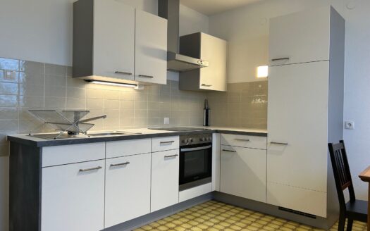 Graz: Traumblick über Graz inklusive! Grosszügige angelegte 4-Zimmer + Küche Familienwohnung mit Loggia im Wohnbezirk „Jakomini“ zu vermieten!