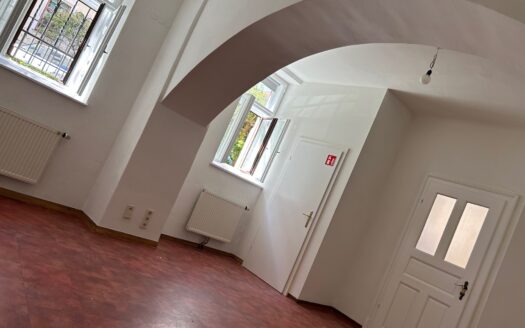 Graz: Altbauzauber! Grosszügige Büro/Ordinationsräumlichkeiten (3-Zimmer) in bevorzugten Grazer Stadtlage „Geidorf“ zu vermieten!