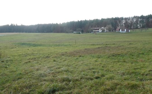 Vasoldsberg:  Traumhaftes Baugrundstück in ruhiger Siedlungslage von Vasoldsberg zu verkaufen!