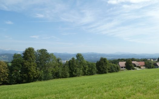 Edelschrott:  Exklusive Doppelhaushälfte in erhöhter Ruhelage mit traumhaftem Weitblick in Edelschrott !