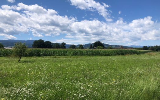 Söding: Baugrundstücke in ländlicher Einfamilienhauslage in Söding: Natur, Raum und Freiheit für Ihre Familie!