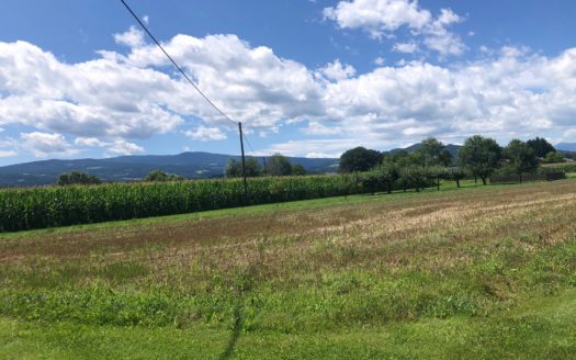 Söding: Baugrundstücke in ländlicher Einfamilienhauslage in Söding: Natur, Raum und Freiheit für Ihre Familie!