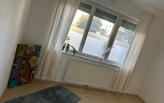 Graz:  Anleger aufgepasst! Studenten/Singlewohnung im Grazer Univiertel zu verkaufen!