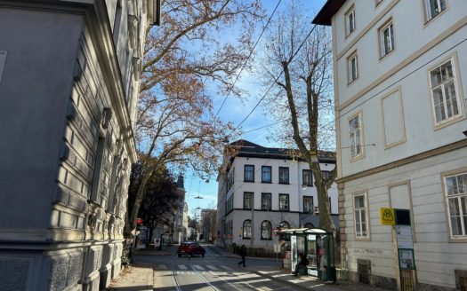 Graz:  Anleger aufgepasst! Studenten/Singlewohnung im Grazer Univiertel zu verkaufen!