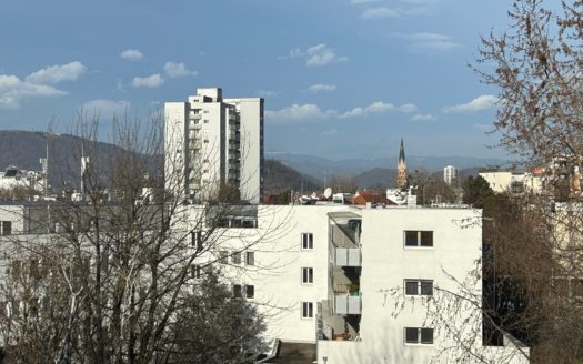 Graz:  Schöner Wohnen! Modern sanierte 3-Zimmer Wohnung  mit Loggia im beliebten Grazer Wohnbezirk St. Peter zu verkaufen!