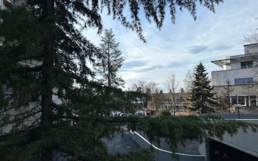 Graz:  Schöner Wohnen! Modern sanierte 3-Zimmer Wohnung  mit Loggia im beliebten Grazer Wohnbezirk St. Peter zu verkaufen!