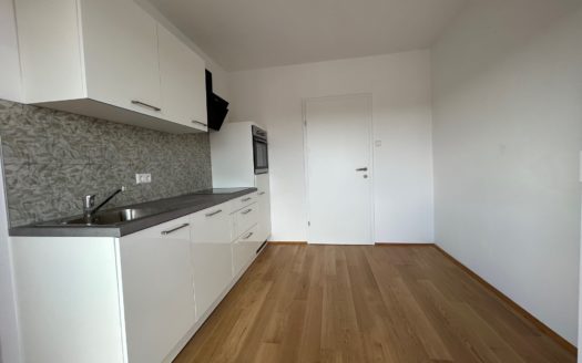 Graz:  Erstbezug nach Sanierung! Elegante und grosszügig angelegte 3-Zimmer Mietwohnung mit Balkon im Grazer Wohnbezirk „Jakomini“ !