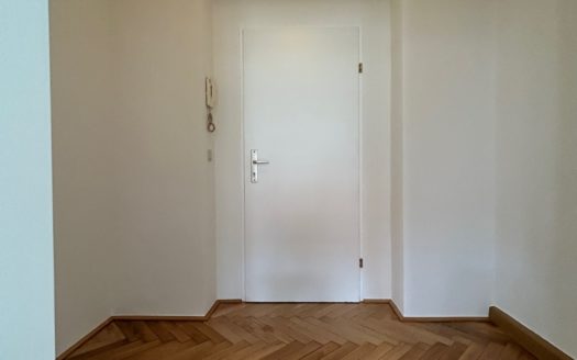 Graz:  Altbauzauber! Erstbezug nach Sanierung! Grosszügige 1-Zimmer + Küche Wohnung im bevorzugten Grazer Wohnbezirk Geidorf !