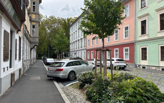 Graz:  Altbauzauber! Erstbezug nach Sanierung! Grosszügige 1-Zimmer + Küche Wohnung im bevorzugten Grazer Wohnbezirk Geidorf !