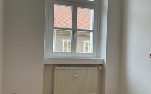 Graz:  Altbauzauber! Erstbezug nach Sanierung! Grosszügige 1-Zimmer + Küche Wohnung im bevorzugten Grazer Wohnbezirk Geidorf !