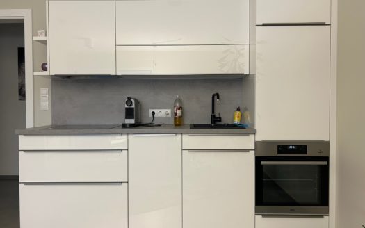 Graz:  Altbauzauber! Erstbezug nach Sanierung! Grosszügige 1-Zimmer + Küche Wohnung im bevorzugten Grazer Wohnbezirk Geidorf !