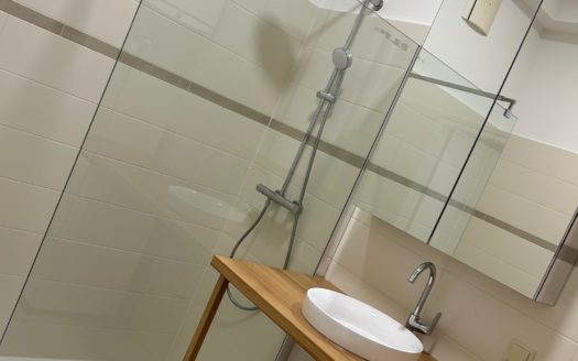 Graz:  Altbauzauber! Erstbezug nach Sanierung! Grosszügige 1-Zimmer + Küche Wohnung im bevorzugten Grazer Wohnbezirk Geidorf !