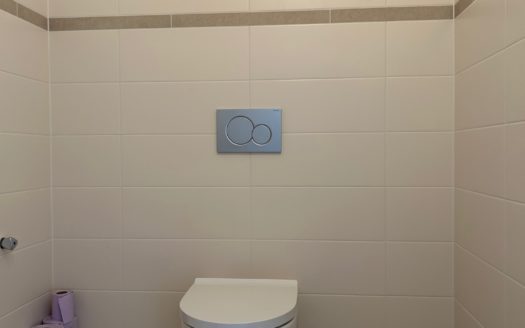 Graz:  Altbauzauber! Erstbezug nach Sanierung! Grosszügige 1-Zimmer + Küche Wohnung im bevorzugten Grazer Wohnbezirk Geidorf !