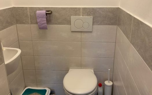 Graz: Altbauzauber trifft Moderne! Sanierte 3-Zimmer Wohnung (WG tauglich) in ruhiger Seitengassenlage in 8020 Graz zu vermieten !