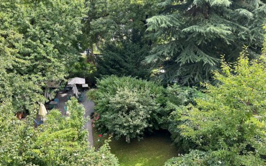 Graz:  Altbauzauber! Erstbezug nach Sanierung! Grosszügige 1-Zimmer + Küche Wohnung im bevorzugten Grazer Wohnbezirk Geidorf !