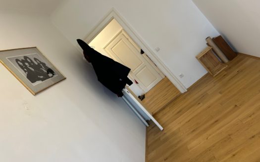 Graz: Altbauzauber trifft Moderne! Sanierte 3-Zimmer Wohnung (WG tauglich) in ruhiger Seitengassenlage in 8020 Graz zu vermieten !