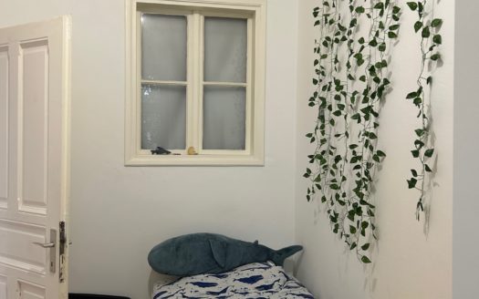 Graz: Altbauzauber trifft Moderne! Sanierte 3-Zimmer Wohnung (WG tauglich) in ruhiger Seitengassenlage in 8020 Graz zu vermieten !