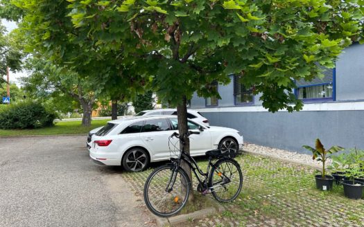 Andritz:  Wohlfühlwohnung“ Moderne 2-Zimmer Erdgeschosswohnung  in guter   Grazer Lage (Bezirk St. Veit) zu verkaufen!