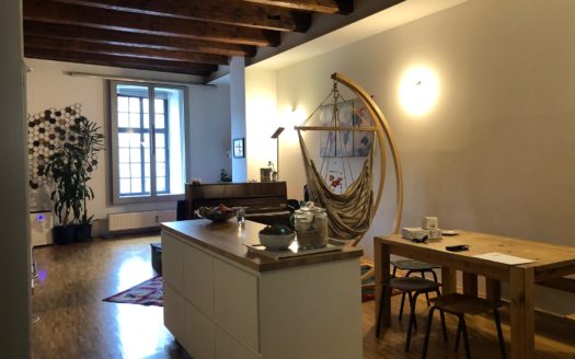 Graz:  Wohnen in der  „Alten Stadtmühle“ Aussergewöhnliche  2-Zimmer  Architektenloftwohnung im beliebten „Lendviertel“ zu vermieten!