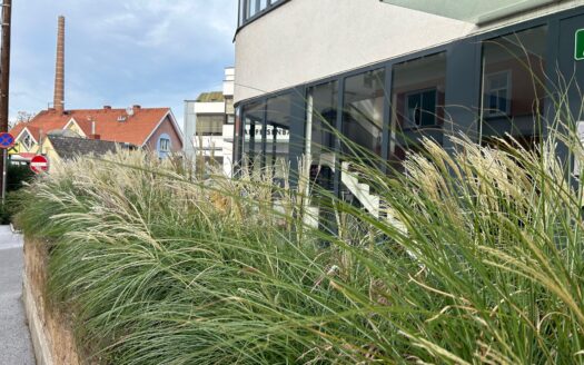 Puntigam:  Aussergewöhnliche  2-Zimmer Erdgeschosswohnung mit  Gartenanteil in Graz-Puntigam zu verkaufen
