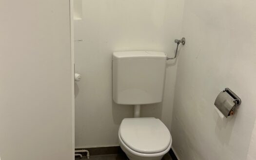 Graz: Zauberhafte 2-Zimmer Altbauwohnung (2er-WG-tauglich) in bevorzugter Grazer Stadtlage Nähe Schillerplatz zu vermieten !