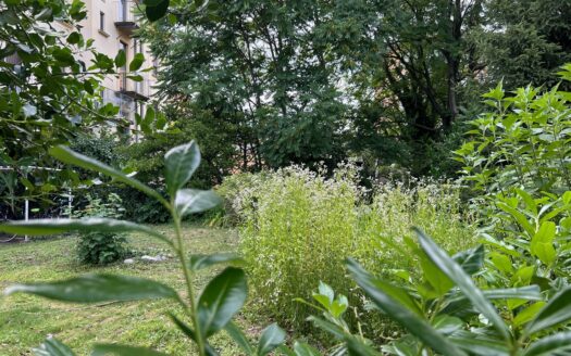 Graz: Altbauzauber trifft Moderne! 2-Zimmer Wohnung mit uneinsehbarer Loggia im Bezirk „Lend“ zu vermieten !